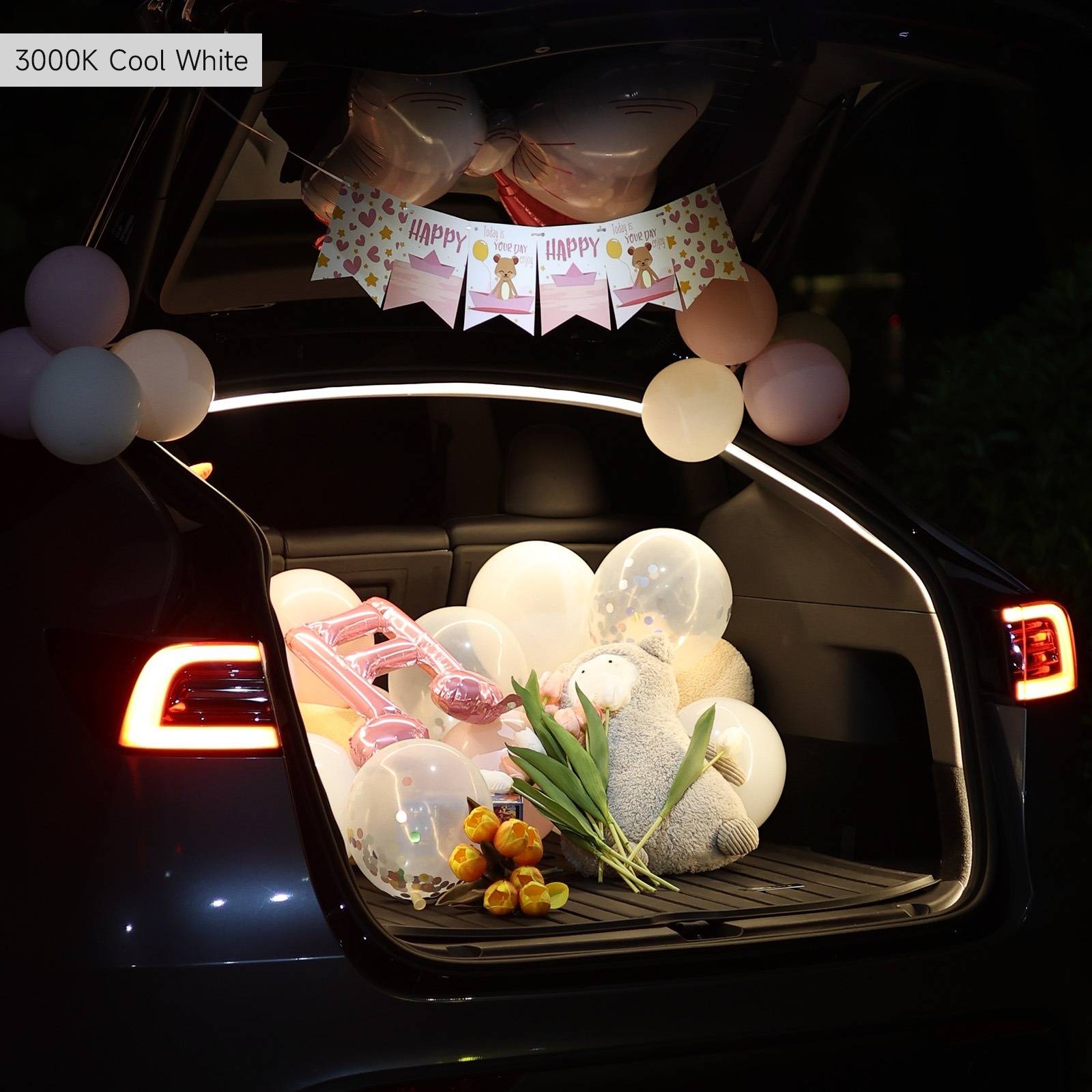 Model Y Trunk Led Strip