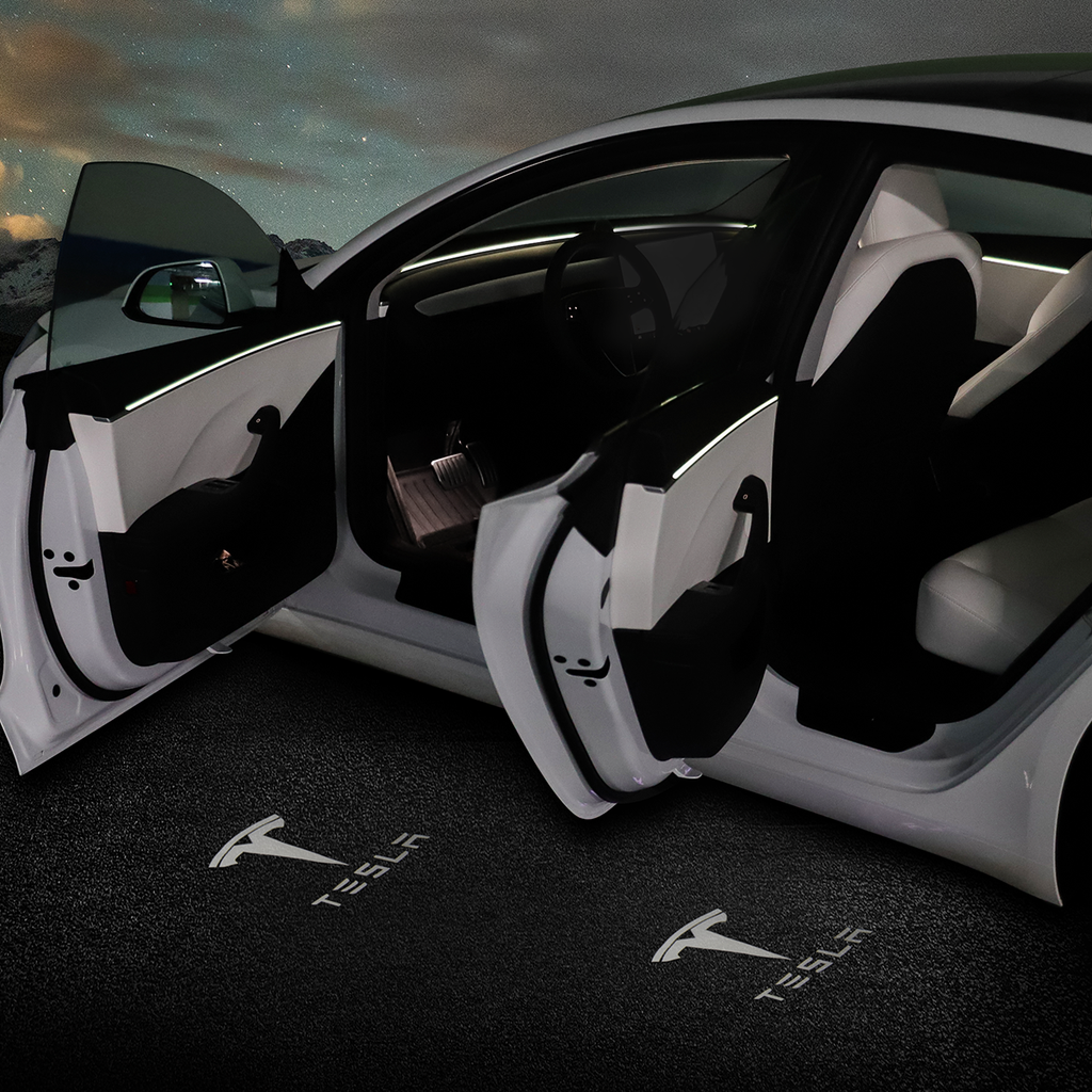 Model Y Welcome Door Light