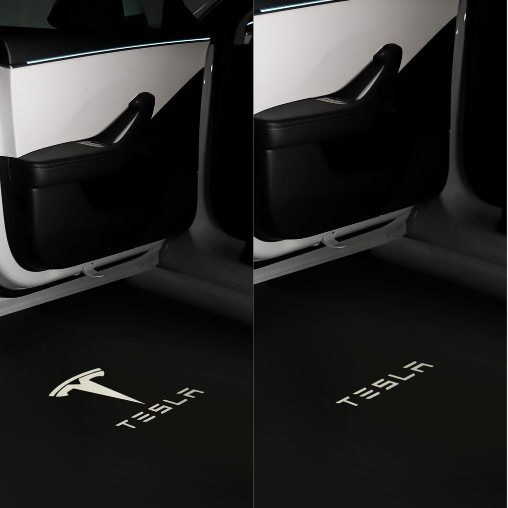 Model 3 Welcome Door Light