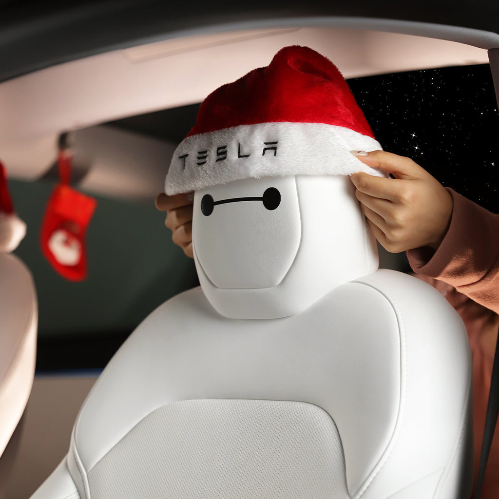 Christmas deco for model y model 3