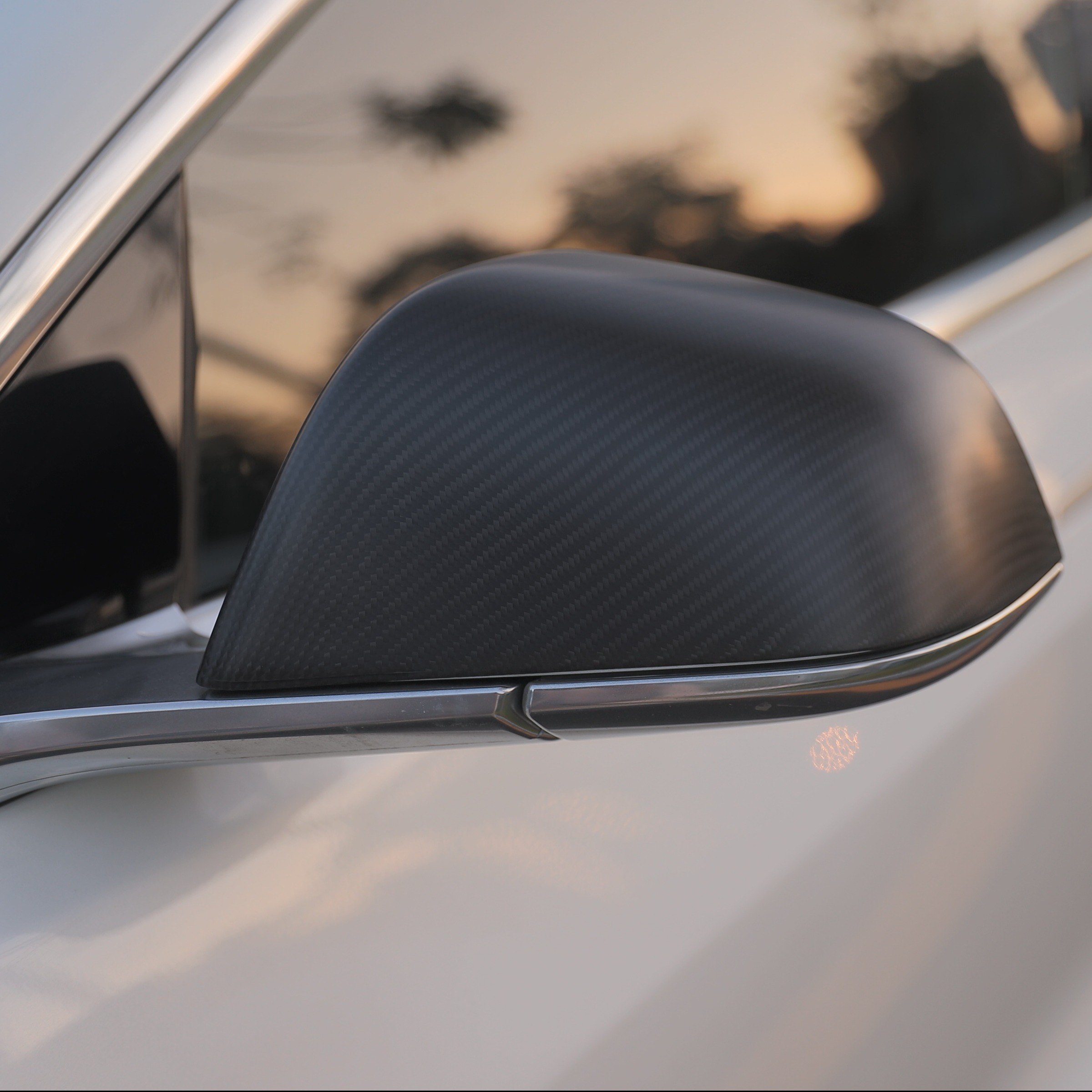 Real Carbon Fiber Side View Mirror Covers for Model 3/Y