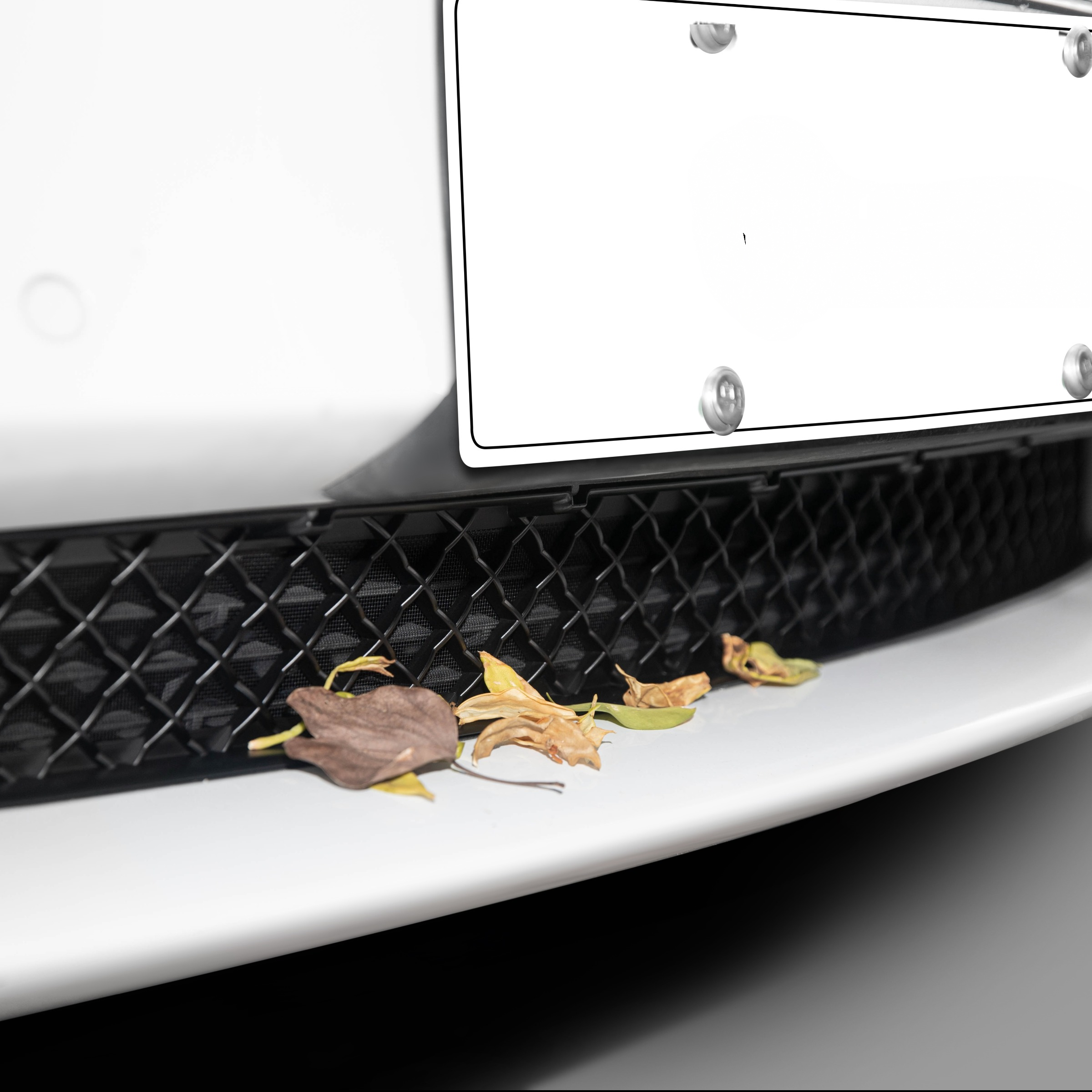 Tesla Model 3 Y Front Grille Mesh Radiator Cover Guard